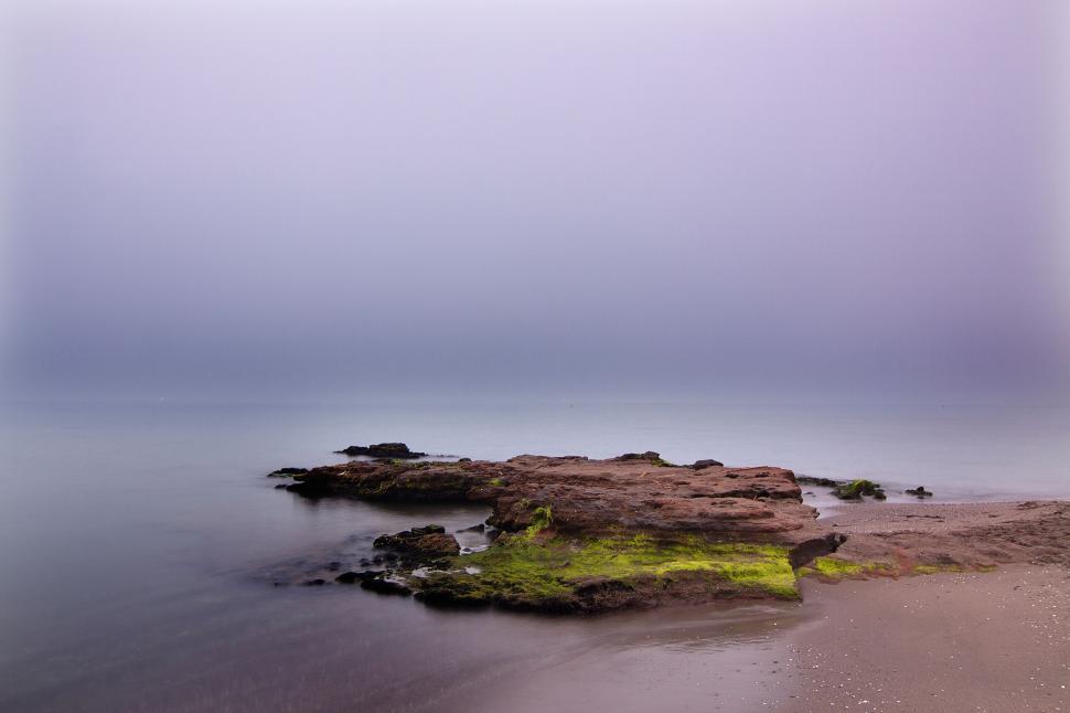 Free Image of Misty seascape with rocks covered in green algae. 