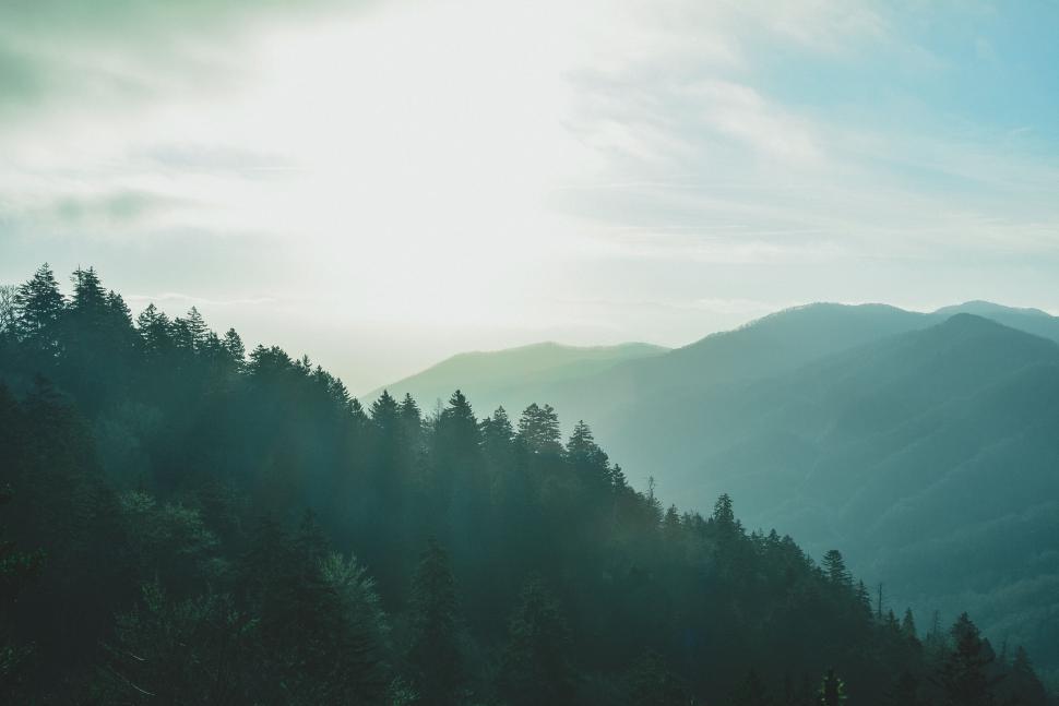 Free Image of Sunrise over misty mountain landscape with dense trees 