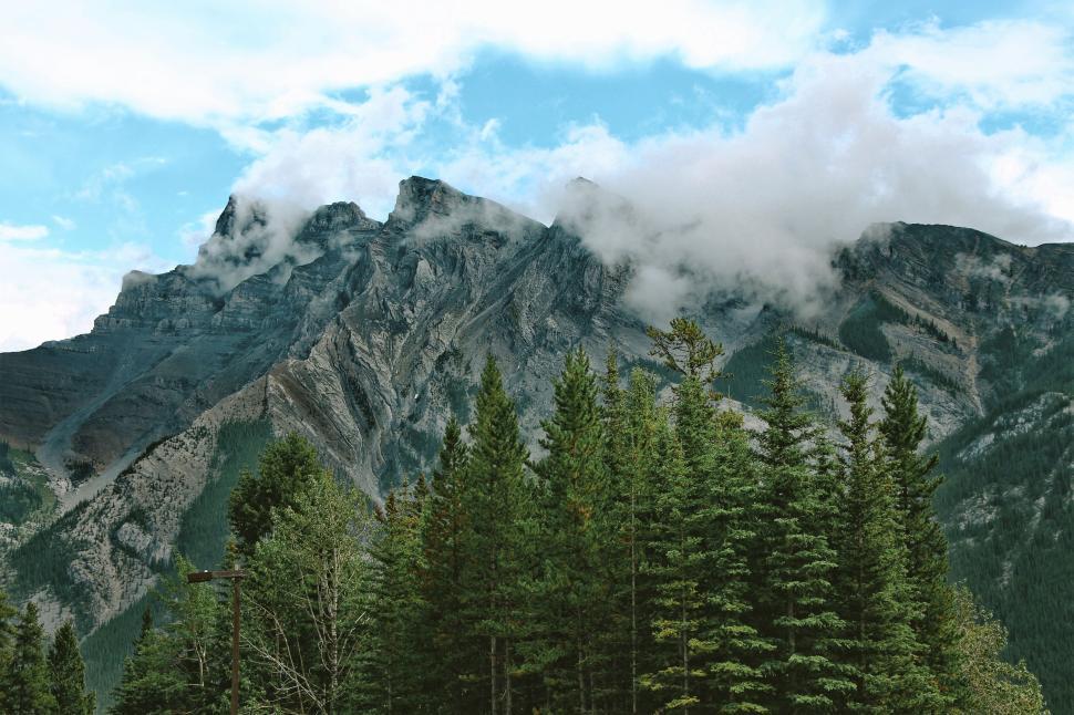 Free Image of Majestic mountain range towering above pine forests. 