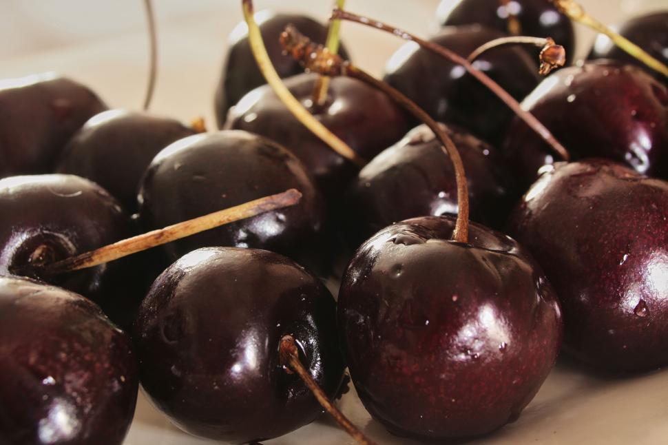 Free Image of Close-up of fresh, ripe, dark-colored cherries with stems. 