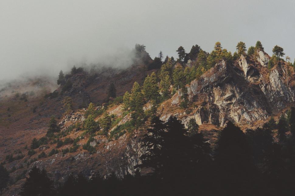 Free Image of Misty mountain ridge at dawn with scattered pine trees. 