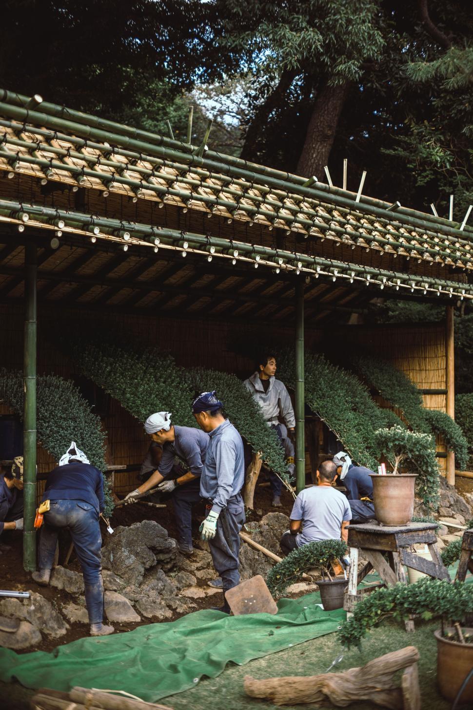 Free Image of People working in a traditional garden with plants. 