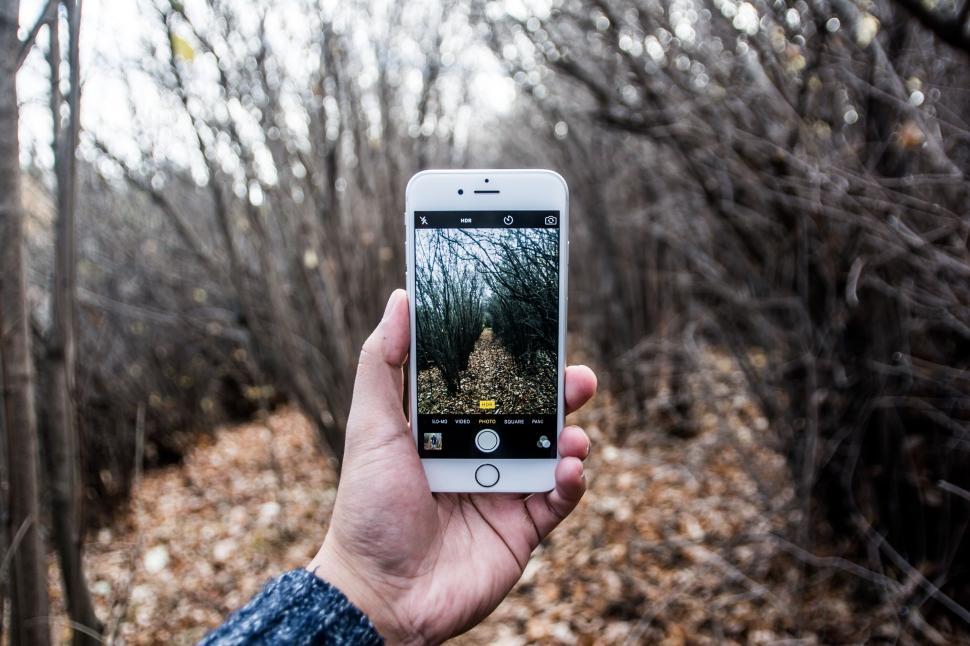 Free Image of Hand holding a smartphone capturing a forest pathway 