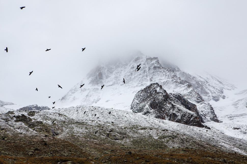 Free Image of Snow-covered mountain range with a flock of birds. 