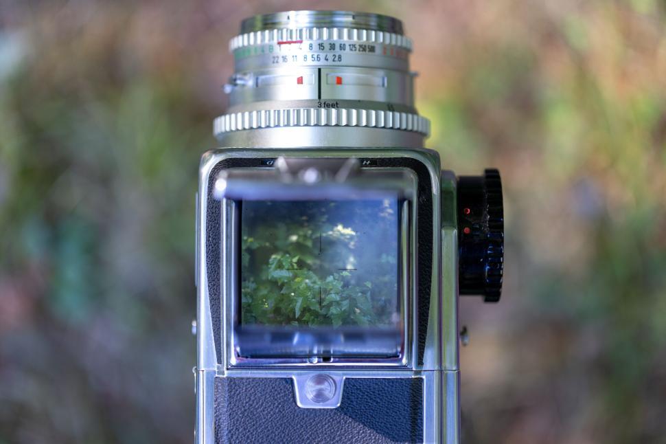 Free Image of Top view of camera focusing on green foliage outdoors. 