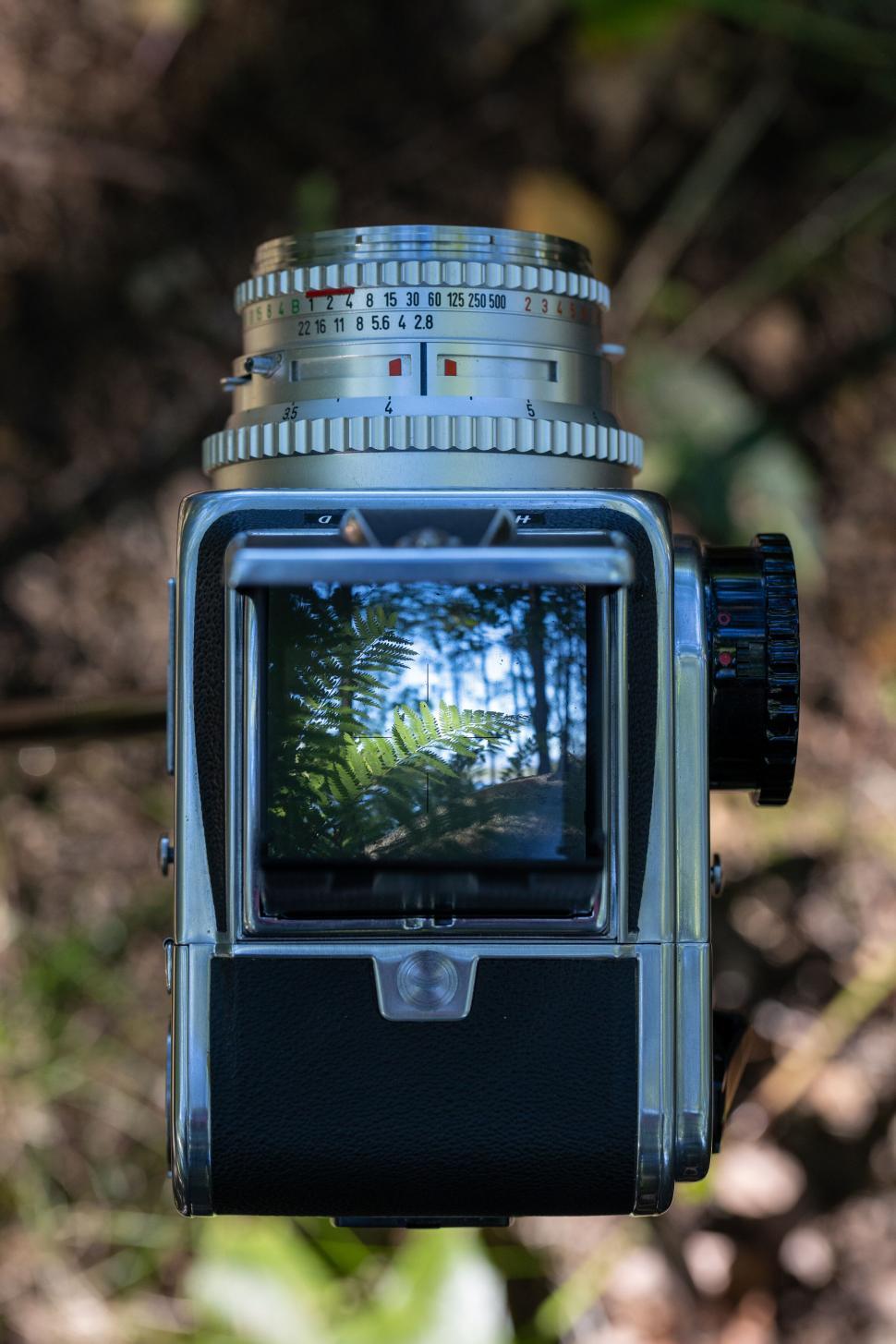Free Image of Viewfinder shot of trees seen through vintage camera. 