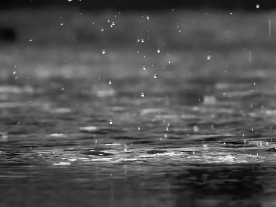 Free Image of Close-up of raindrops splashing on a calm water surface 