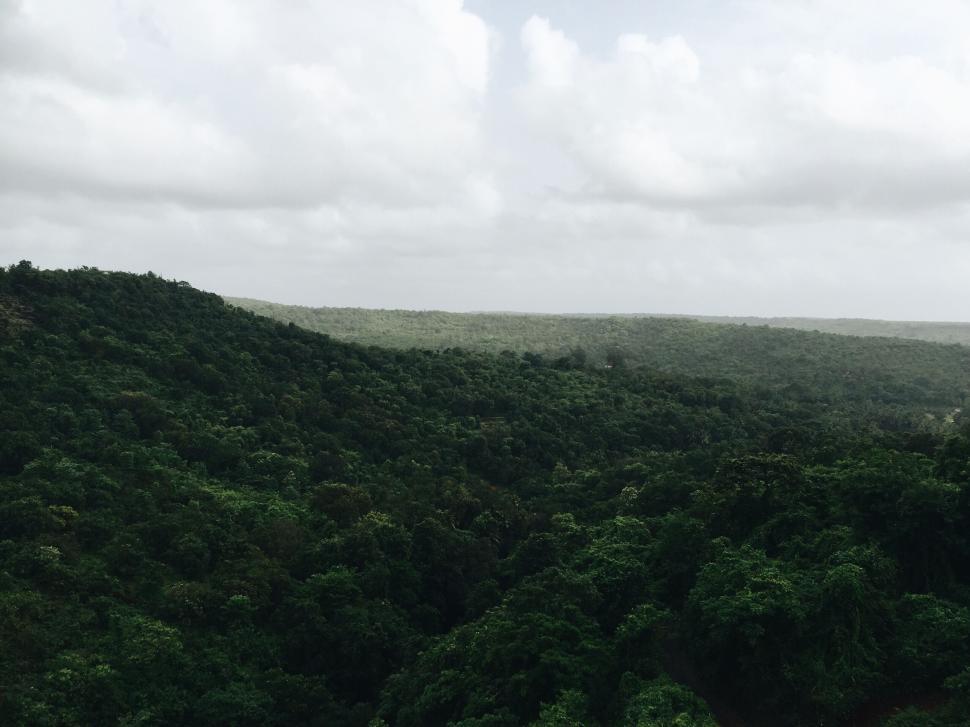 Free Image of Vast forest landscape under a cloud-filled sky 