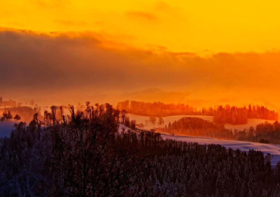 Free Image of Golden horizon over a winter landscape at sunrise. 
