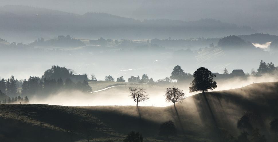 Free Image of Trees in foggy landscape with sunlit misty hills. 