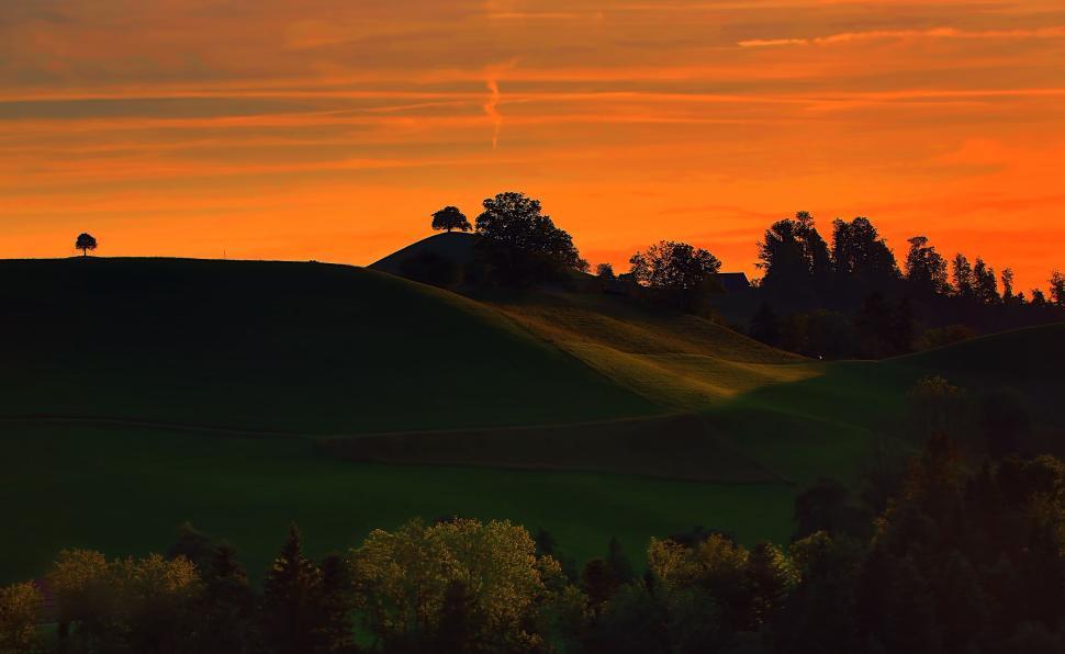 Free Image of Sunset over rolling hills with silhouetted trees and sky. 