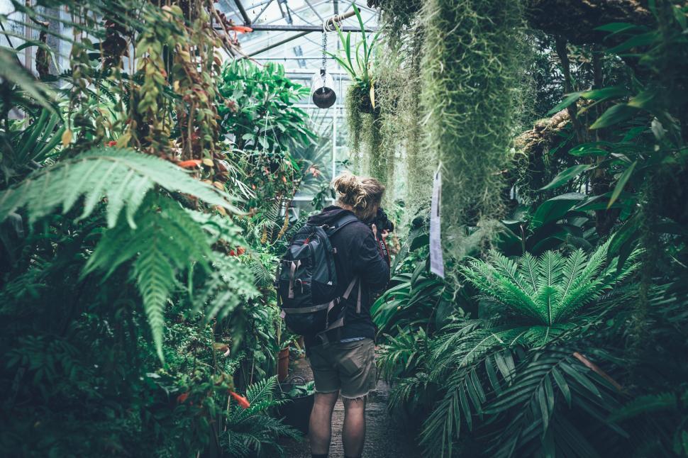 Free Image of Lush greenhouse with photographer capturing nature 