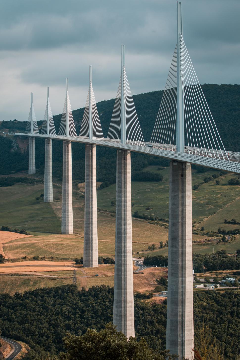 Free Image of Majestic cable-stayed bridge across lush landscape 