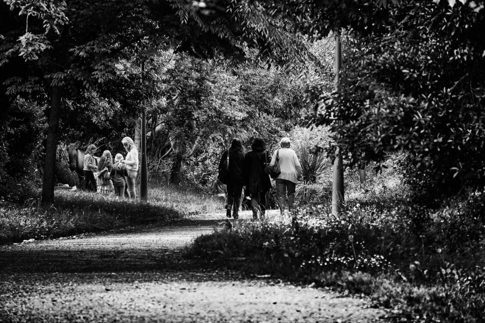 Free Image of Group of people walking through a shaded, leafy pathway. 