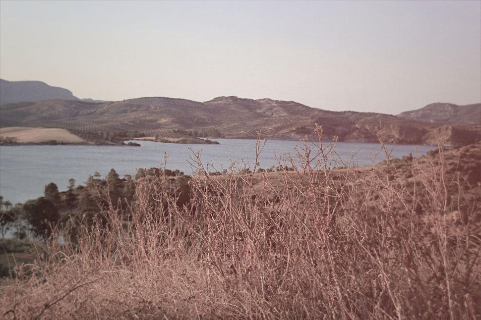 Free Image of Serene lake in the foreground of rural dry landscape 
