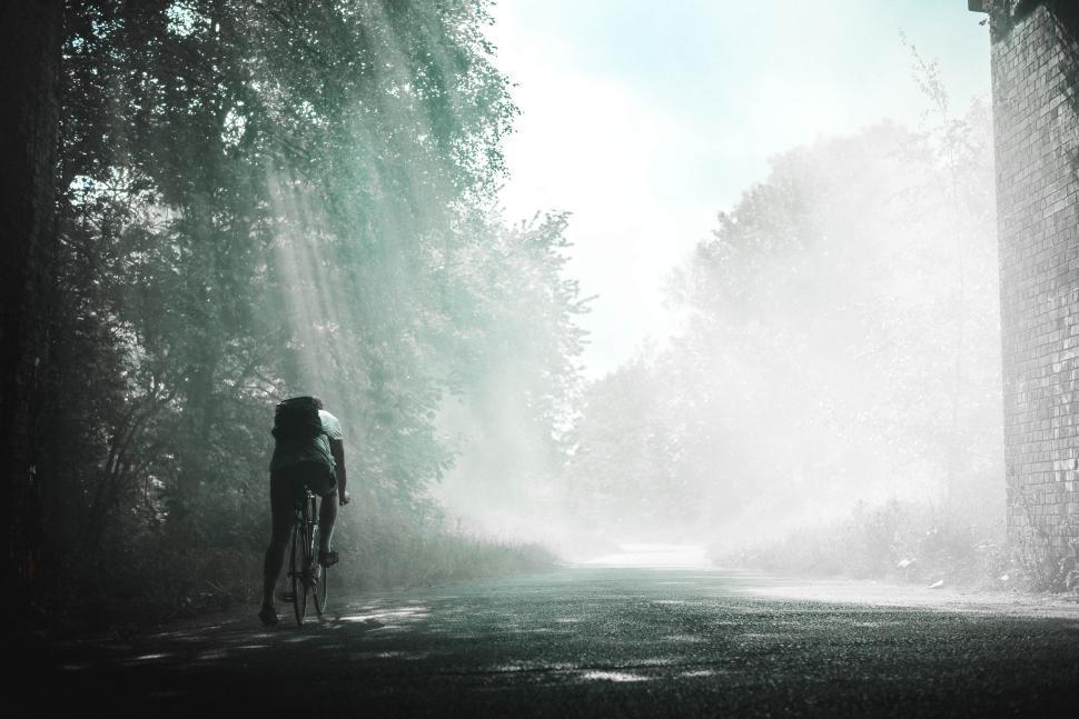 Free Image of Cyclist riding into a misty and serene forest road 