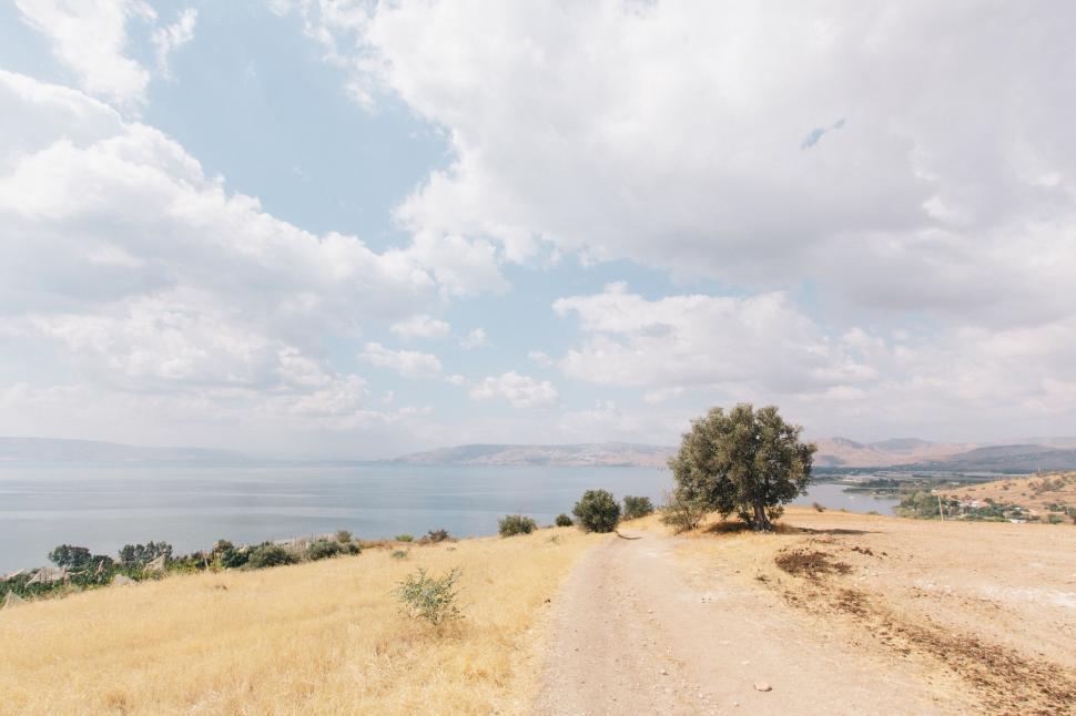 Free Image of Countryside road leading to a serene lakeside horizon. 