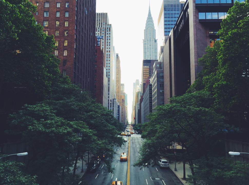 Free Image of Cityscape view with trees and skyscrapers in daylight 