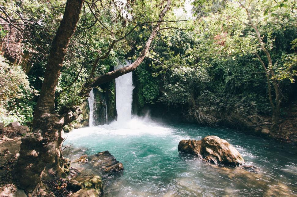 Free Image of Natural waterfall flowing in lush forest with rocks 