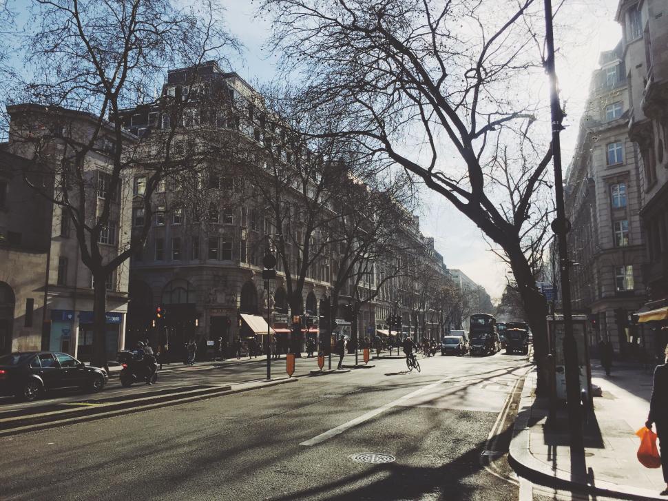 Free Image of Urban street scene with classic architecture and trees 