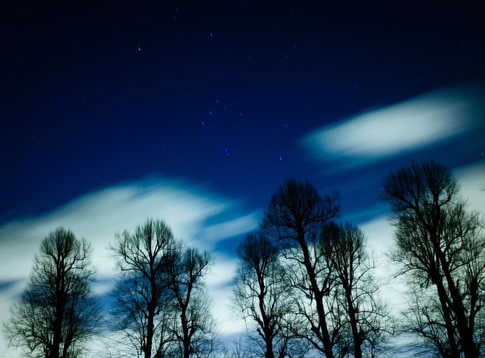 Free Image of Night sky with trees and clouds during the night 