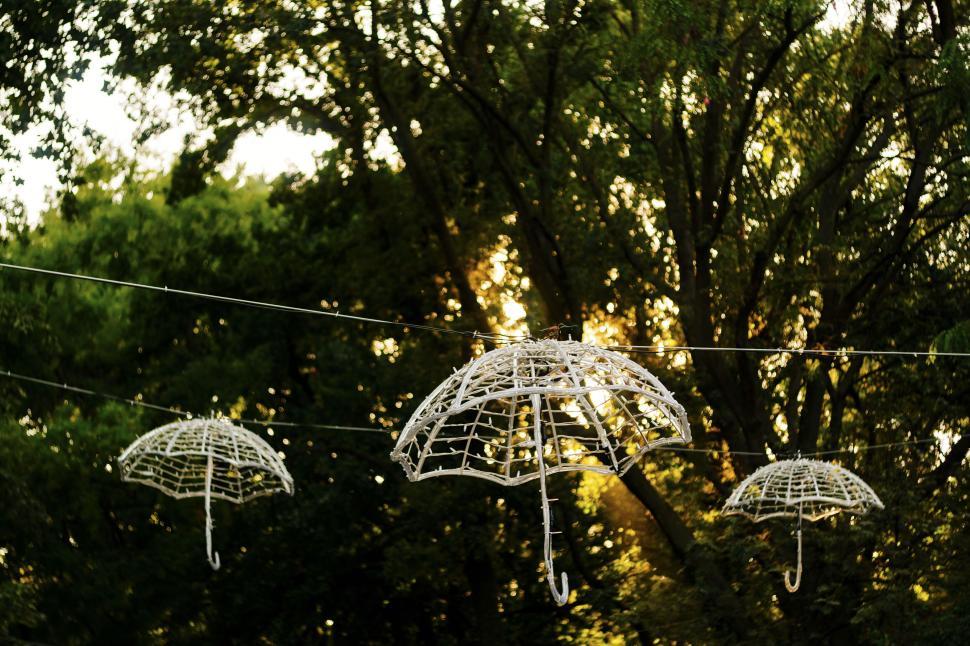 Free Image of Hanging white decorative umbrellas with trees behind them 