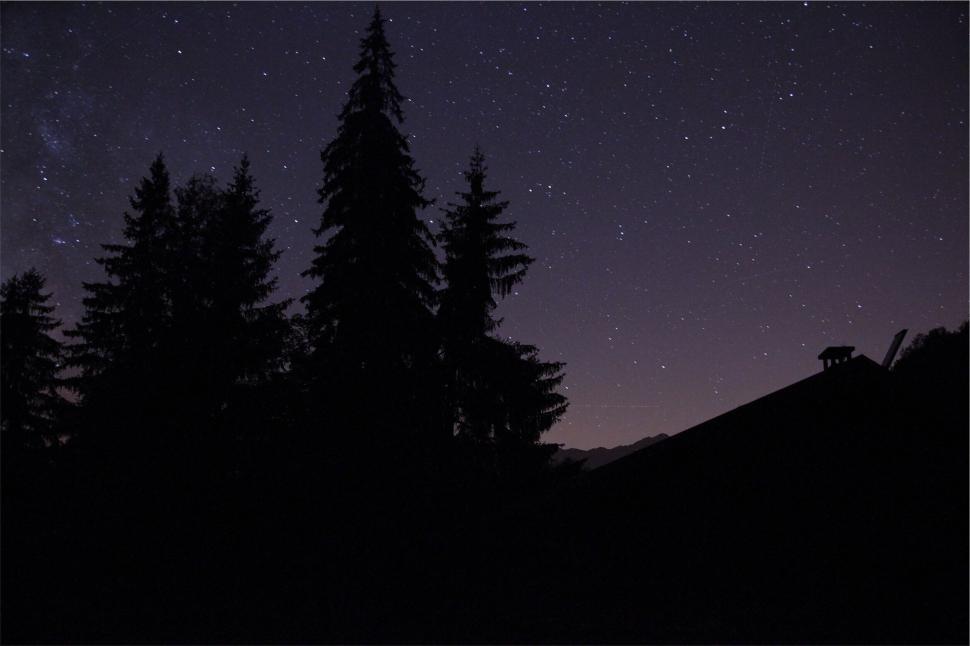 Free Image of Starry night sky with silhouettes of trees and houses 