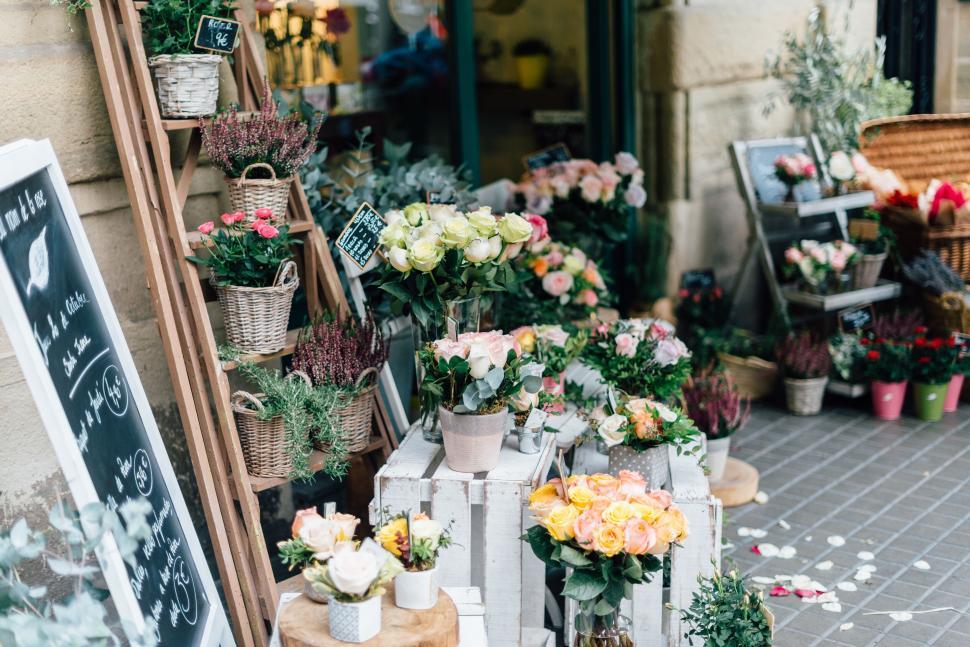 Free Image of Vibrant flower shop display with assorted plants outside. 
