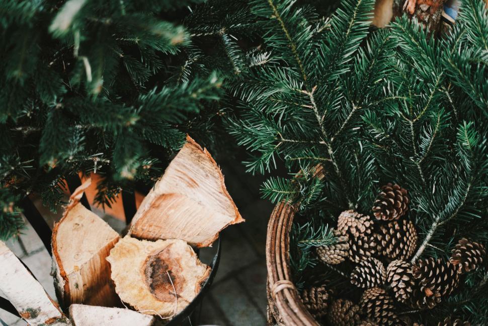 Free Image of Chopped firewood and pine branches with pine cones 