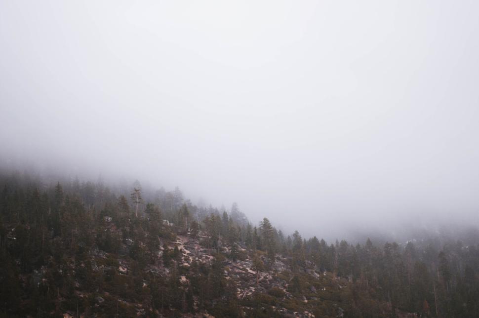 Free Image of Foggy mountain forest with visible tree tops and mist 