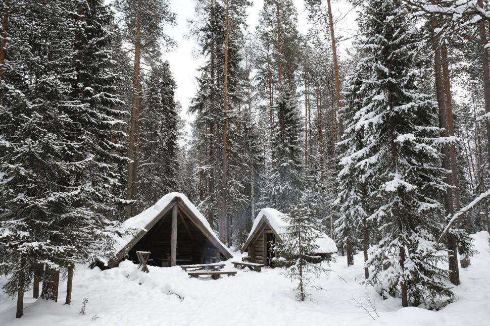 Free Image of Snow-covered cabins in a dense forest with tall trees. 