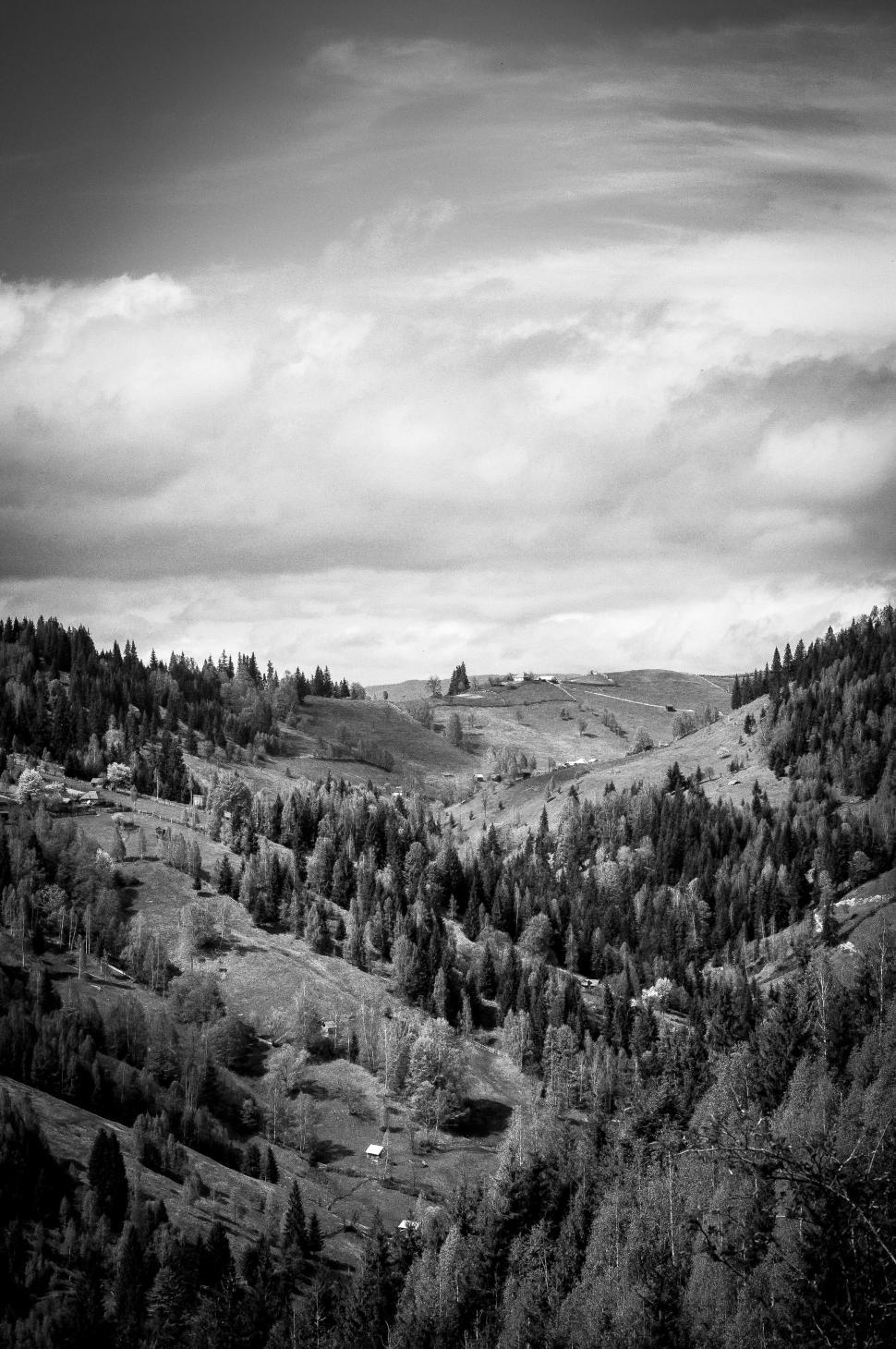 Free Image of Black and white photo of mountainous valley with trees 