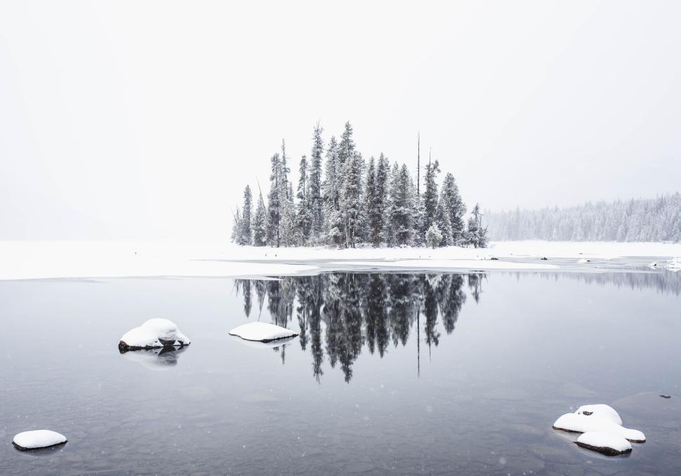Free Image of Small snowy island covered in trees reflected on water. 
