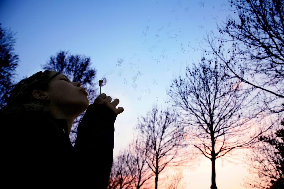 Free Image of Woman blows dandelion seeds at sunset amid trees. 