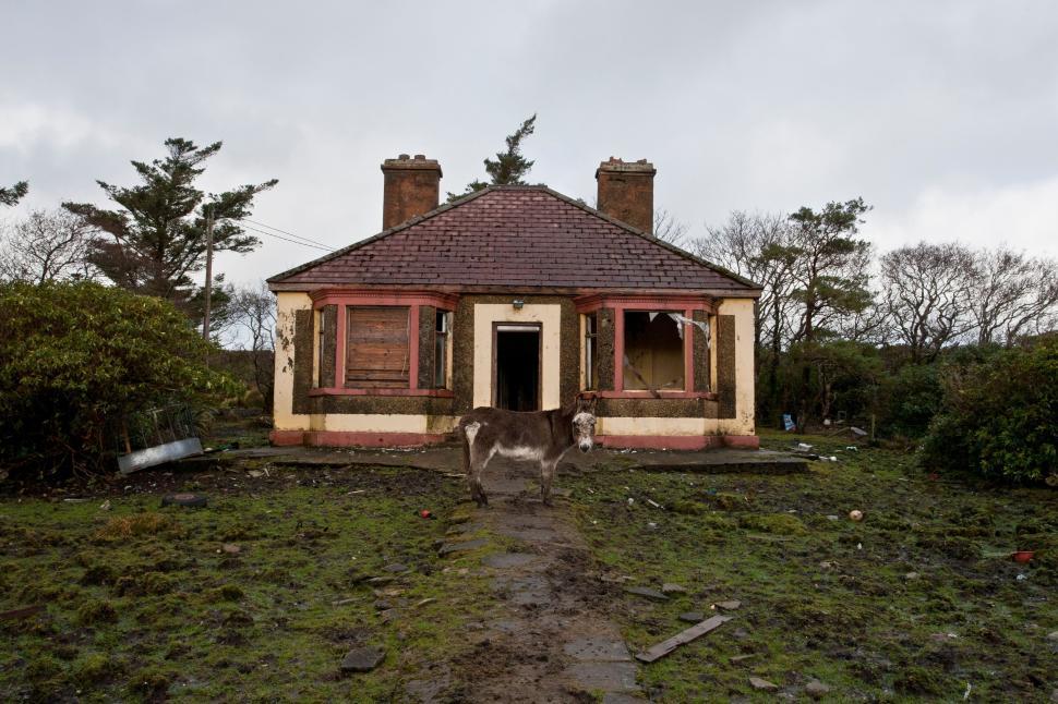 Free Image of Dilapidated house with a donkey standing in front yard 