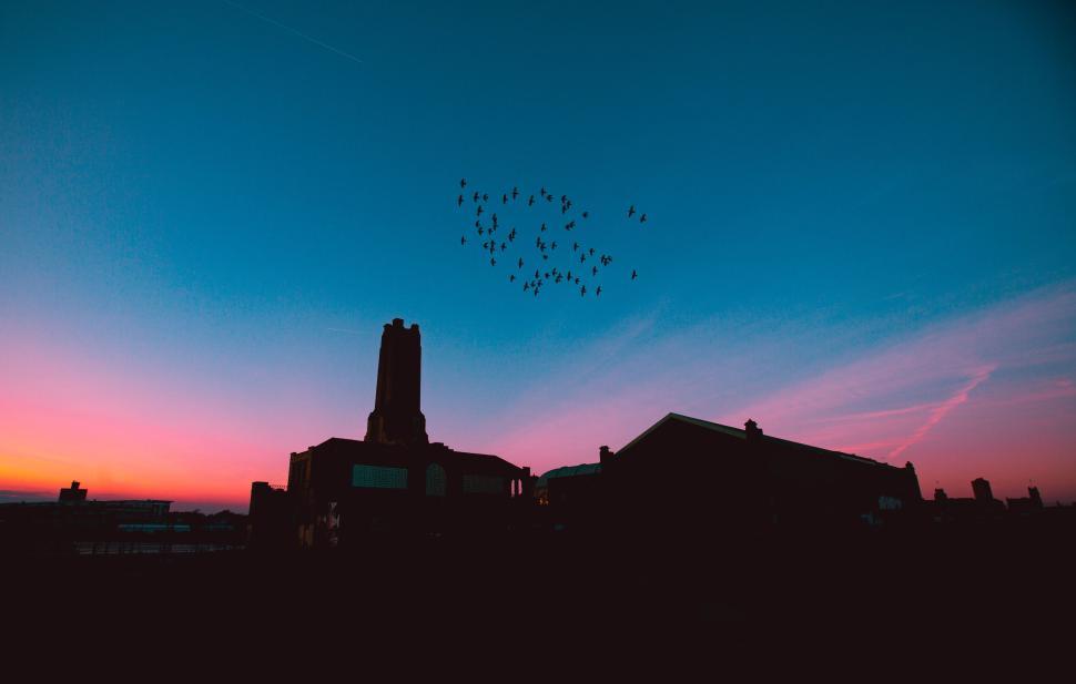 Free Image of Birds flying above city during twilight with silhouette. 