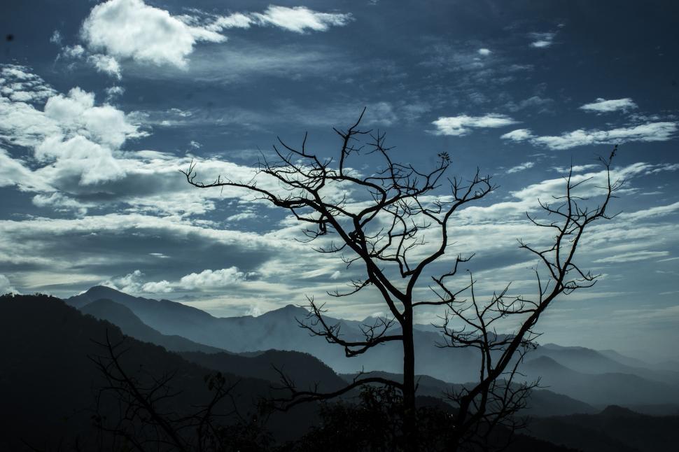Free Image of A leafless tree against a mountain and cloudy sky 