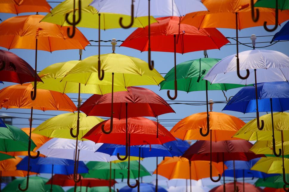 Free Image of Colorful umbrellas hanging outdoors on a sunny day. 