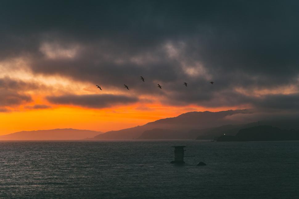Free Image of Sunset over ocean with birds flying in the sky above. 