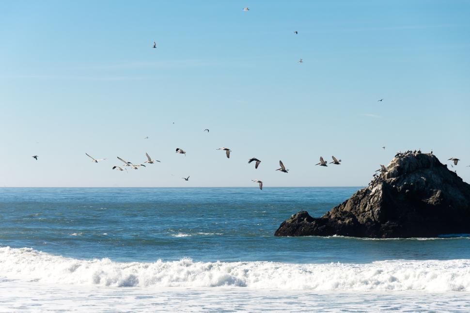 Free Image of Birds flying across the ocean with rocky islands view. 