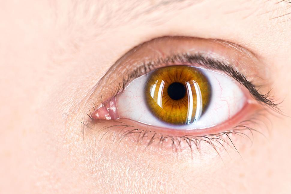 Free Image of Close-up of a hazel-colored eye with detailed eyelashes. 