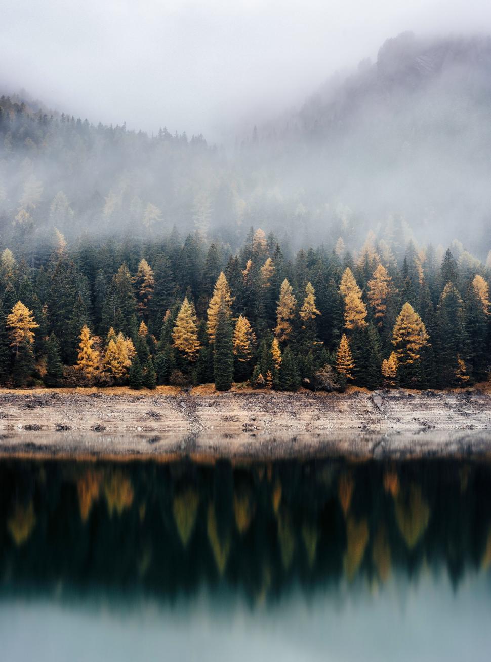 Free Image of Misty forest with autumnal hues reflected in lake 