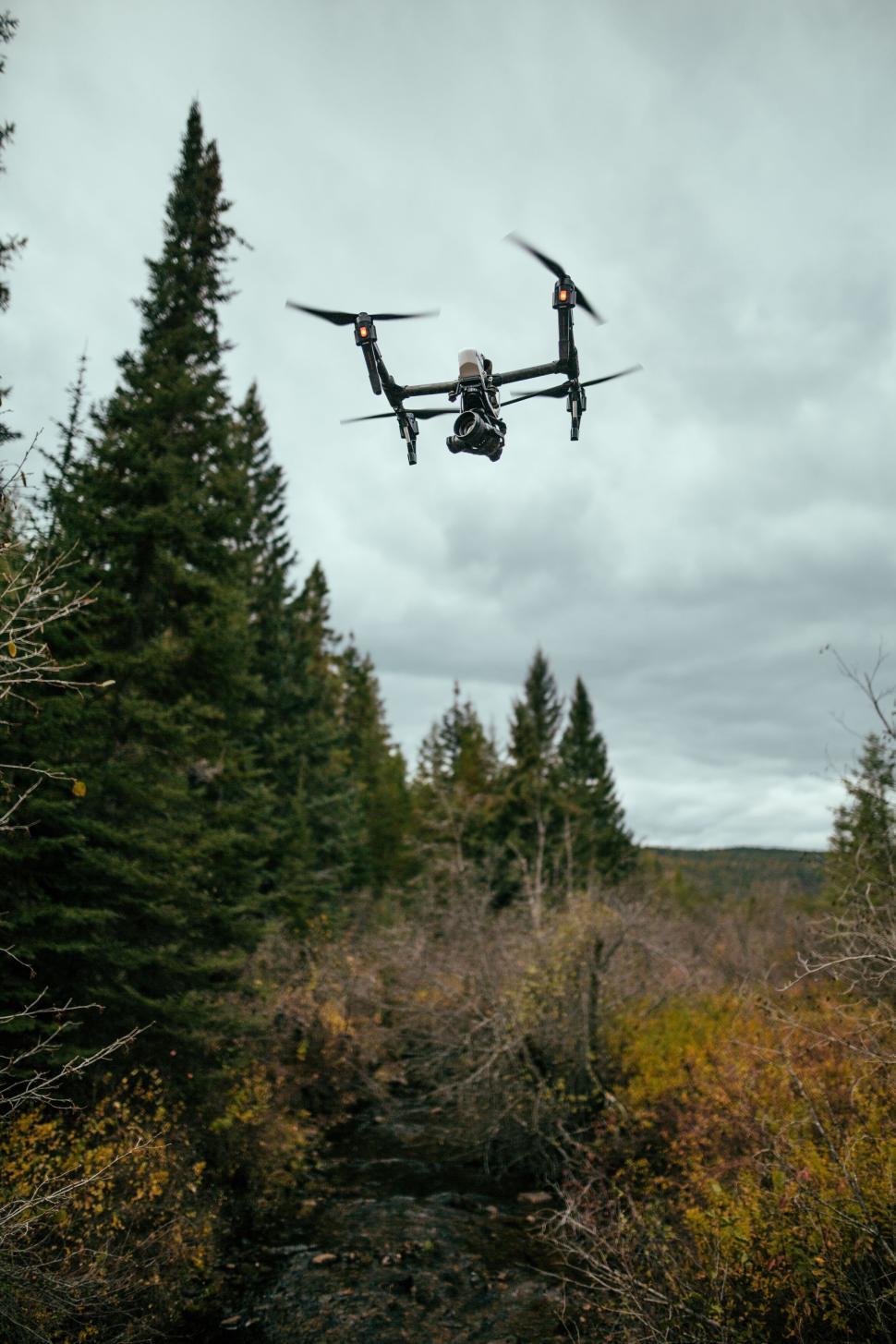 Free Image of Drone flying in the sky above the dense green forest 
