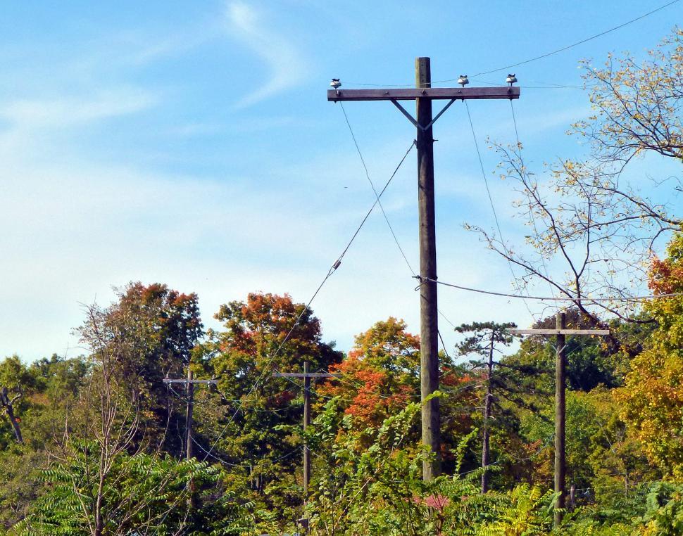 Free Image of Telephone Poles 
