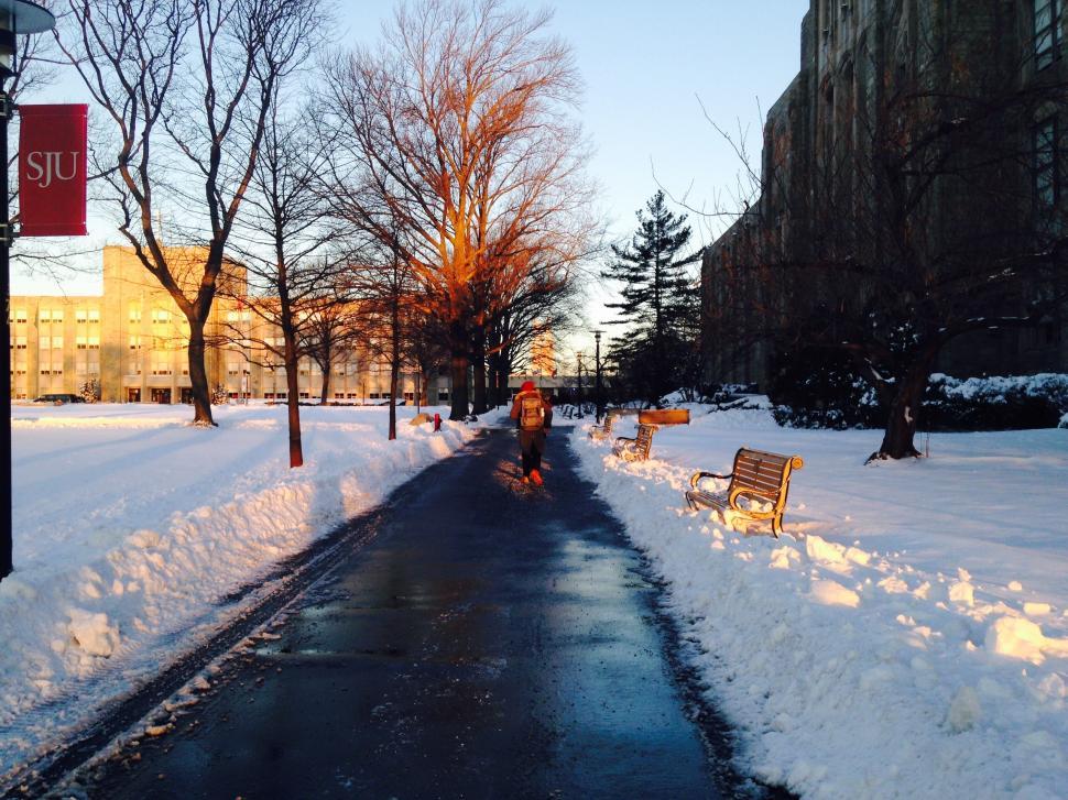 Free Image of Snow-covered path with benches and trees in winter. 