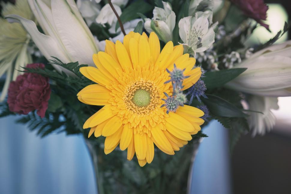 Free Image of Vibrant yellow flower in a diverse floral arrangement. 