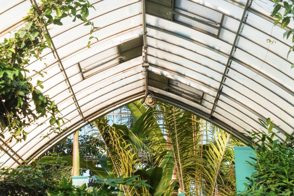 Free Image of Greenhouse interior with lush plants and arched ceiling 
