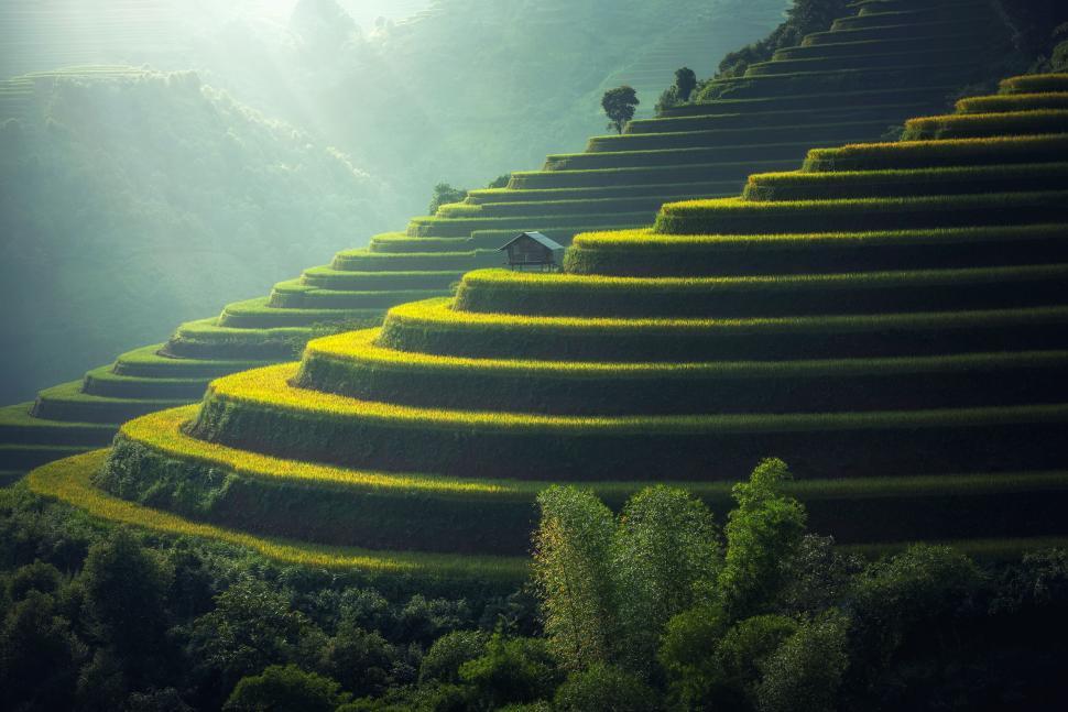 Free Image of Terraced fields with a house and misty sunlight 