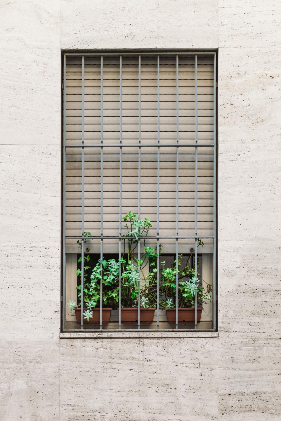 Free Image of Window with potted plants behind metal bars on a wall 