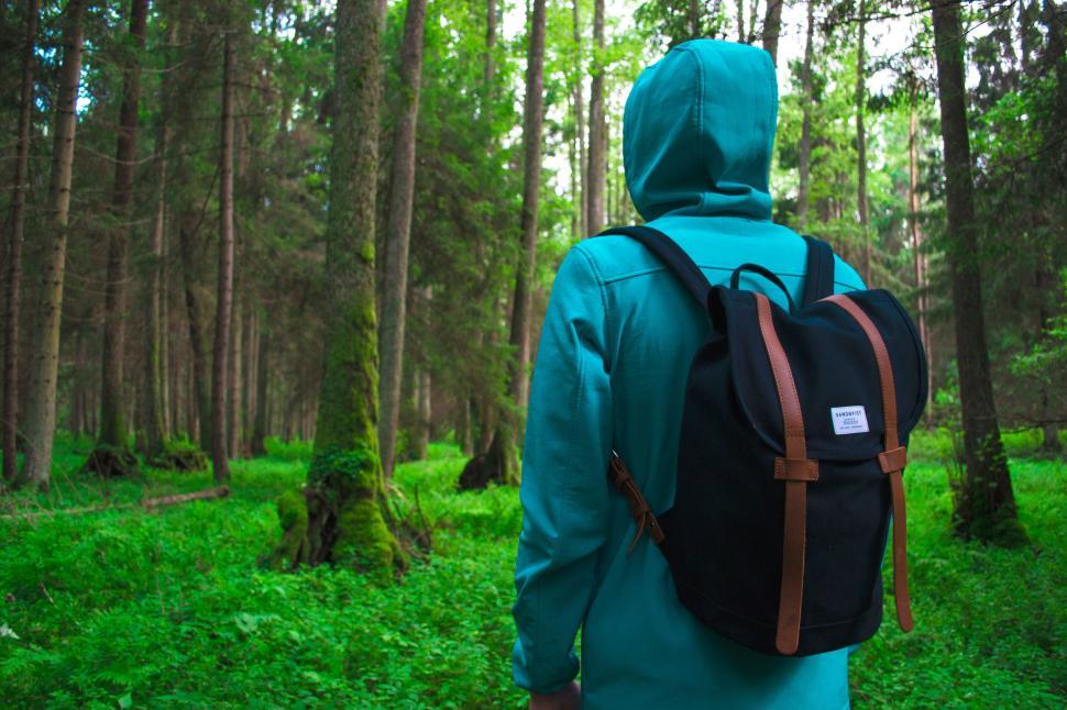 Free Image of Person in blue hoodie with backpack walking in forest 